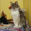 Отзыв от Майя Данилова
